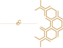 Spaces & Places Logo